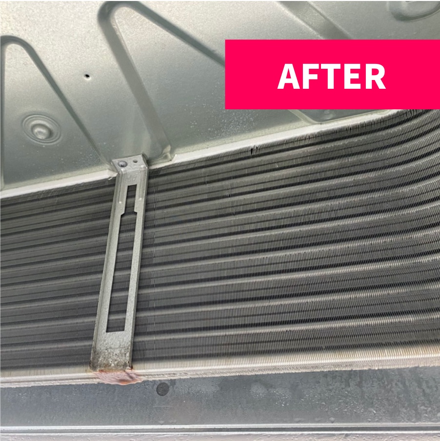 ハウスクリーニング 安い