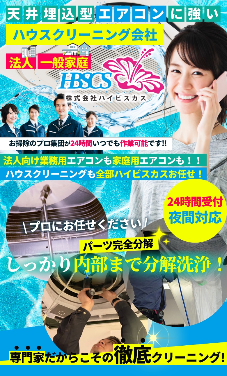 株式会社ハイビスカス